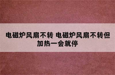 电磁炉风扇不转 电磁炉风扇不转但加热一会就停